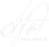 DFW Pro Photo Logo